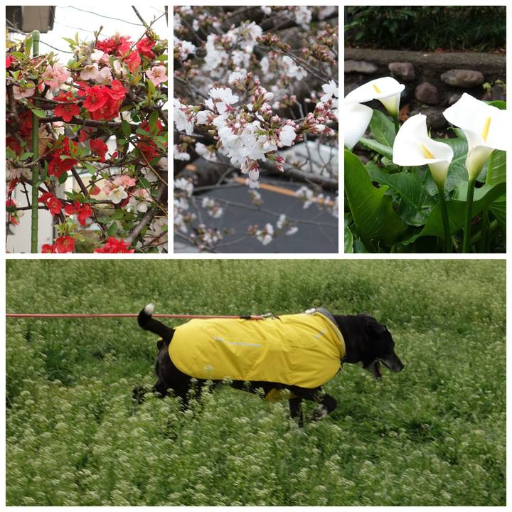 320aa882 f735 4154 8287 33bd63d6d84c 1743383887162