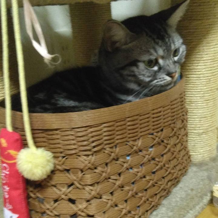 320ad1de e87d 45df 9e05 510461300fe9 1756423348855