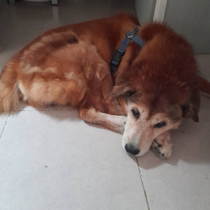 320ae348 11d9 4b8a 9990 70f8b38a7b1a 1766854299183