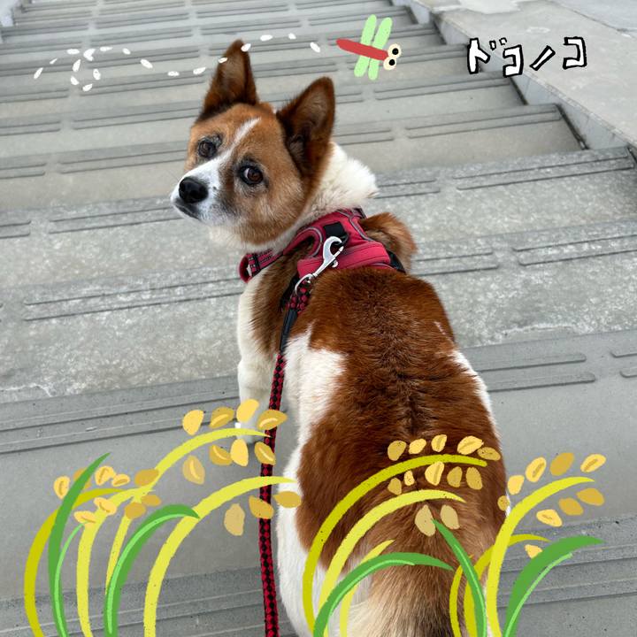 320afe82 9558 4309 ad46 8df18645a7f8 1761556444898