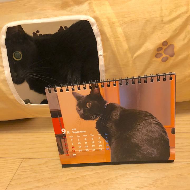 320b1d84 81ae 4e39 a6cb cd0fa57af0c4 1567686582046