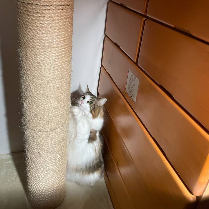 320b3121 e6cf 44ef a083 b99b5ae44ba9 1735396596920