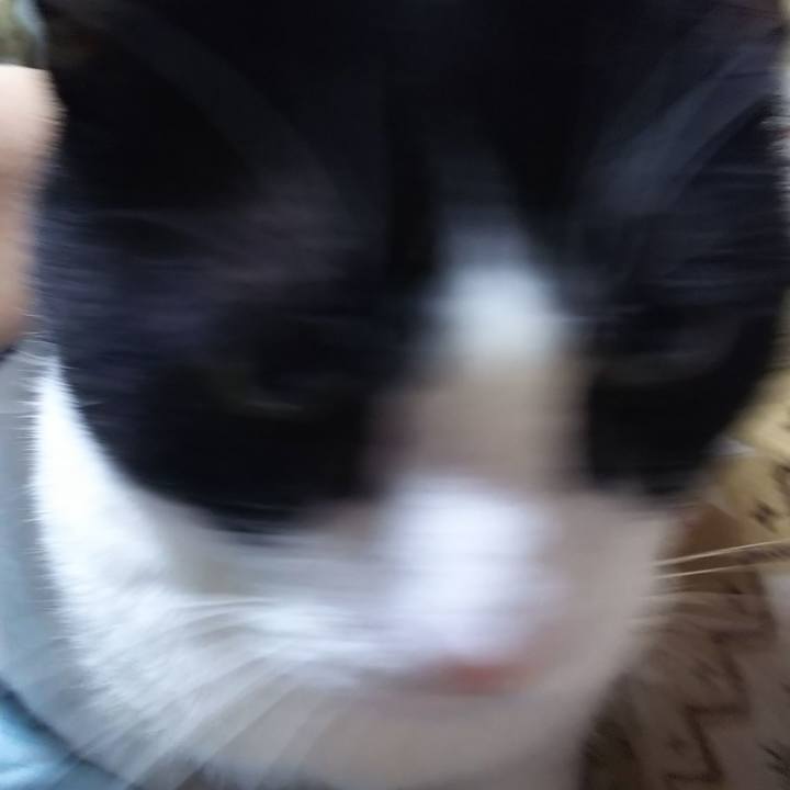 320b4a6a 77ae 4593 b1fc 33d64df08dc5 1582667321789