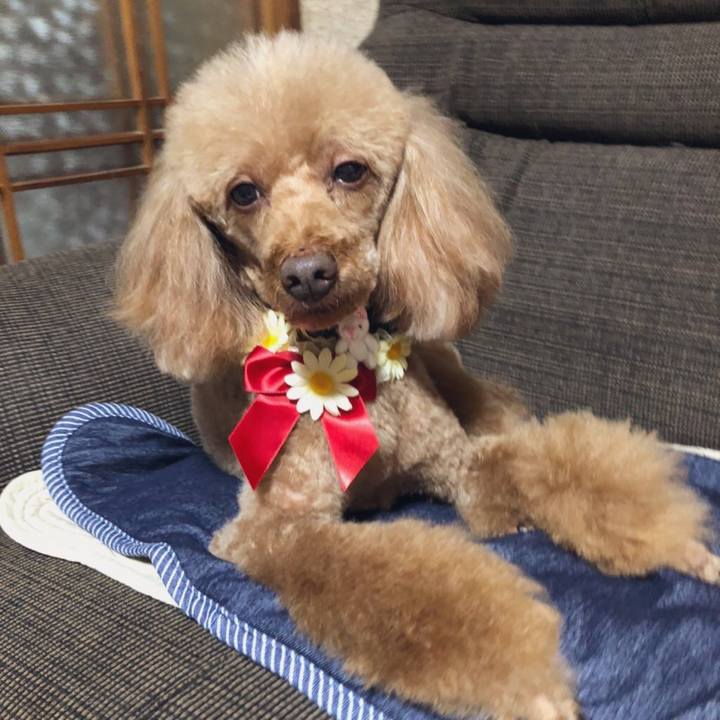 320b4d9d 3979 4ebd 88f1 44679b4e7f40 1622351842004