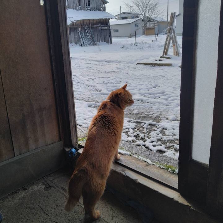 320b5b40 528f 4fb2 a45f 24fe9c4a0481 1710801721014