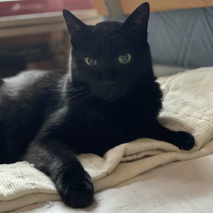 320b5dbe 1e32 452f b03a dfcdbe59b0f7 1622770409242