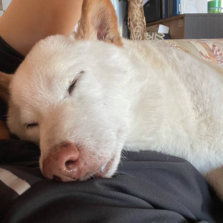 320b6a0b a56e 463d b0d8 b4a720202220 1636547149296