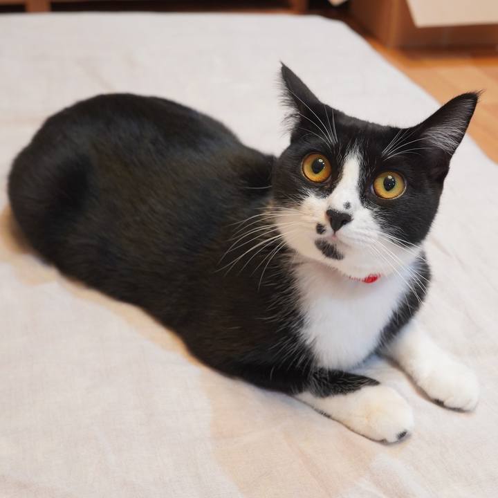 320b7fd0 e4fa 49c4 8835 df0a651f750a 1597932136011