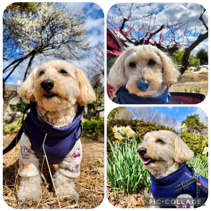 320bb88f 1534 4894 866c 5b55aab8b51c 1771301954121