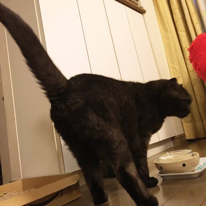 320bc079 893e 45cd ab91 aefc7f5c1f08 1558356910345