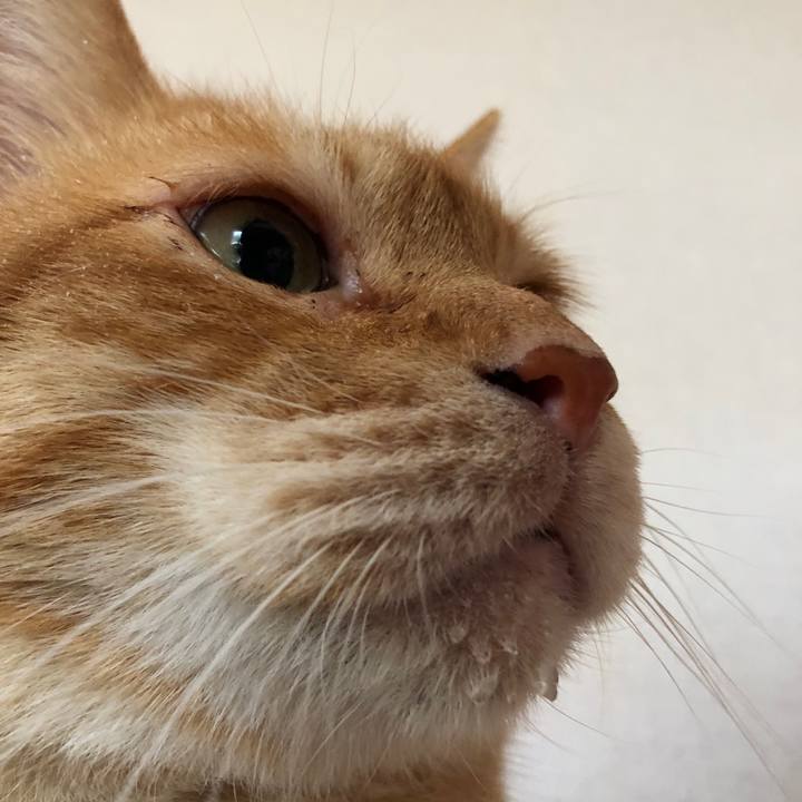 320bd6aa 2a7d 4ae1 94d2 e8e8767efe40 1654297098498