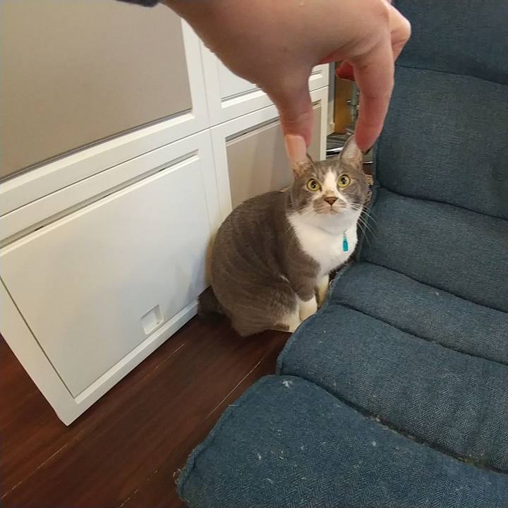 320bd9f9 4715 4e6a 8445 4894d31fa491 1634510853298