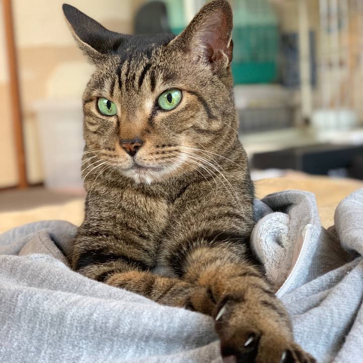 320bf068 37ea 4e56 aafc 9f0cc2a827b0 1586050111210