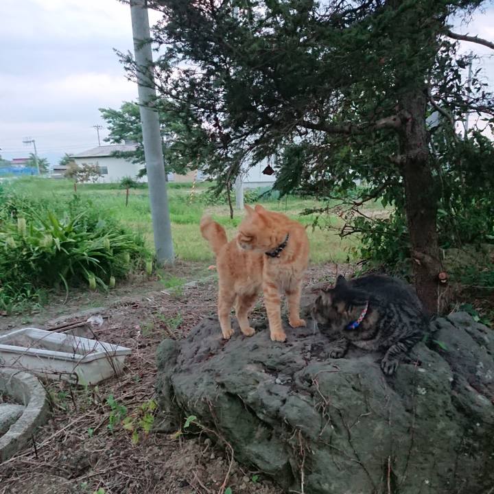 320c009a fd99 4fa5 a555 8bda575d32d2 1661247158988