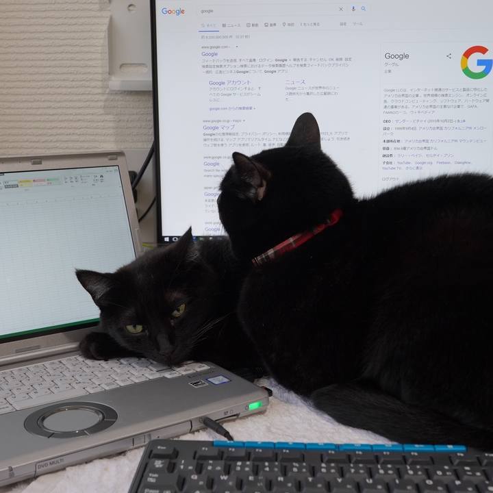 320c0a5a 8222 44eb 922e 716cae21f13c 1606457068844