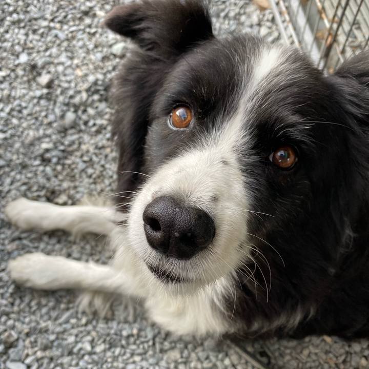 320c196b 2560 4e8a af20 603cb088279b 1668121611956