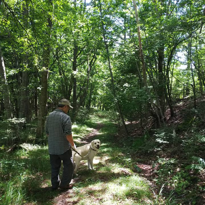 320c1afc 0c5a 44f1 97dc c1ddad908a8b 1534575348286