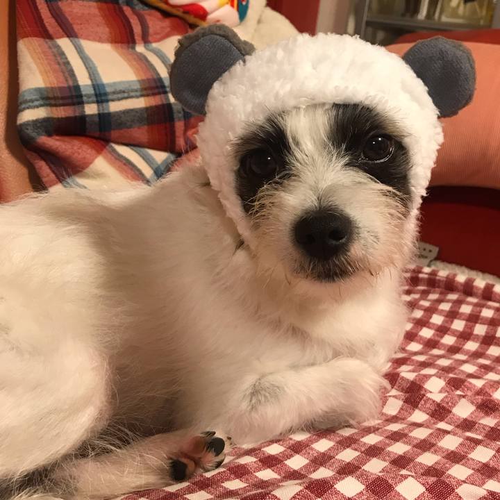 320c30ea d93a 4b46 92fa 2f16ff2a8f46 1557998387275