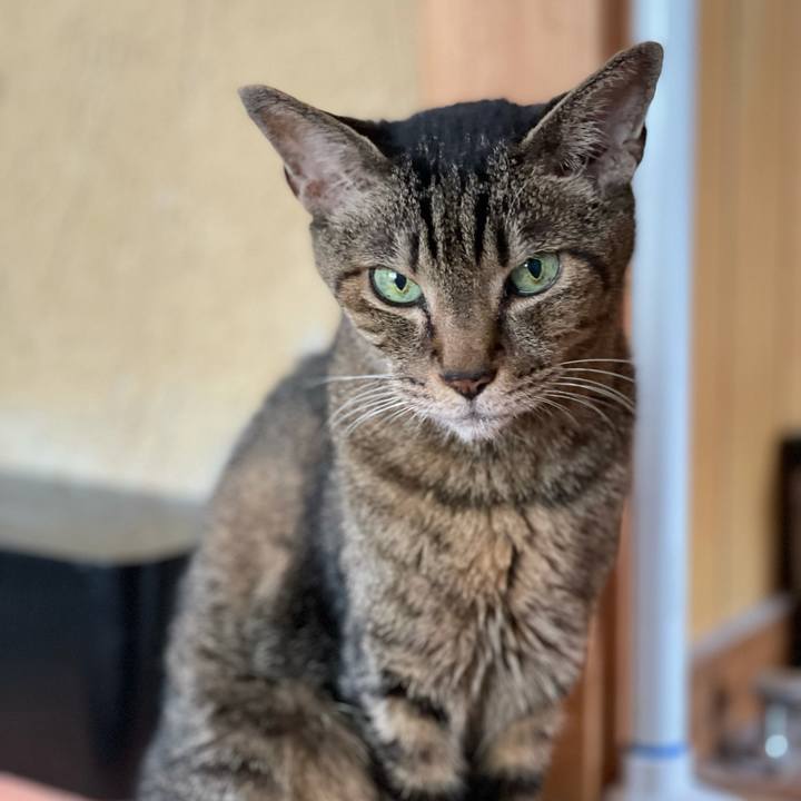 320c3969 5fb6 4e78 9bda 0a38a4220747 1626574691357