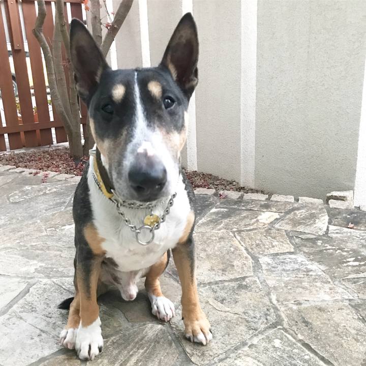 320c4455 8529 41d6 87a4 943bff1601cd 1512288043591