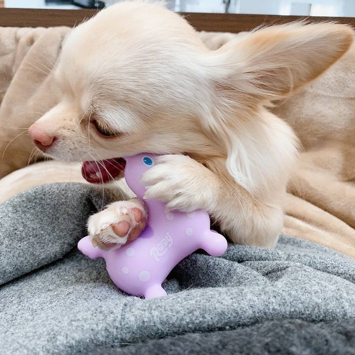 320c56f5 5f69 4bb6 8a95 66c32a055966 1611055340842