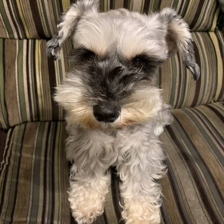 320c7ed4 6719 459a bd96 b6510f2c5997 1593937883396