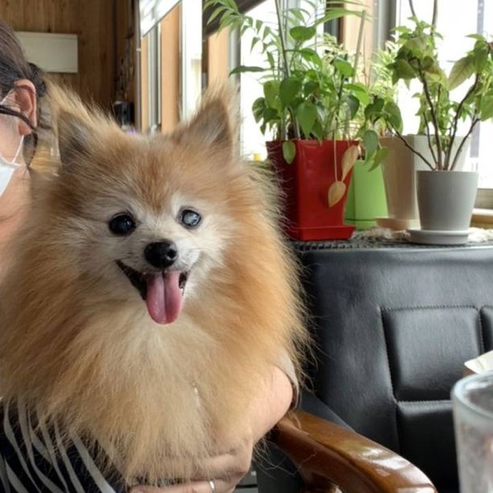 320ca13c 8461 4645 9d85 1d9dd08bc2ad 1659481510485