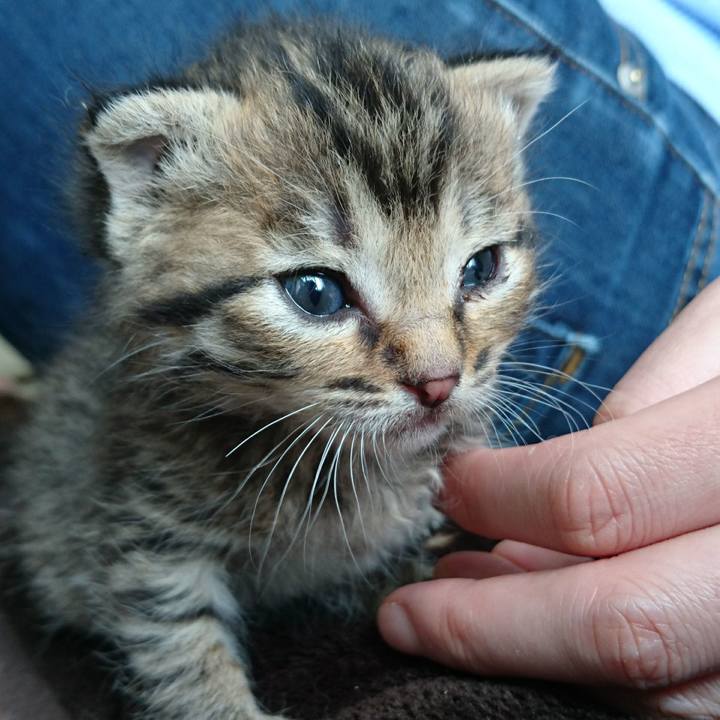 320cbcb1 faf5 4f14 9e82 febfde76b67a 1559827823801