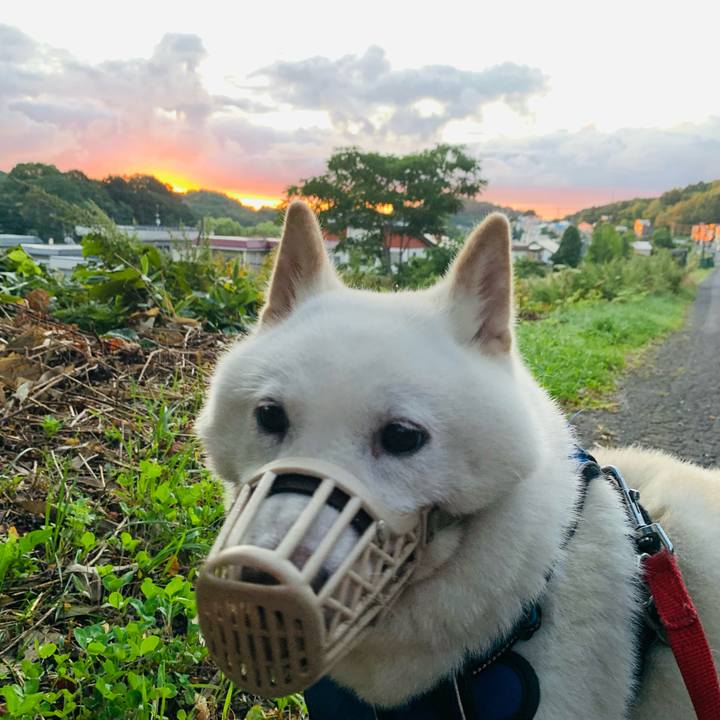 320ce9eb 91eb 4af8 baba 09e2d719e5b4 1630529394100