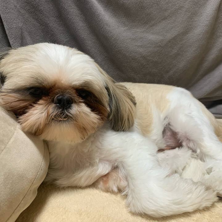 320cecfc 849e 4b8d b677 8fdb08cda3bd 1661830770698