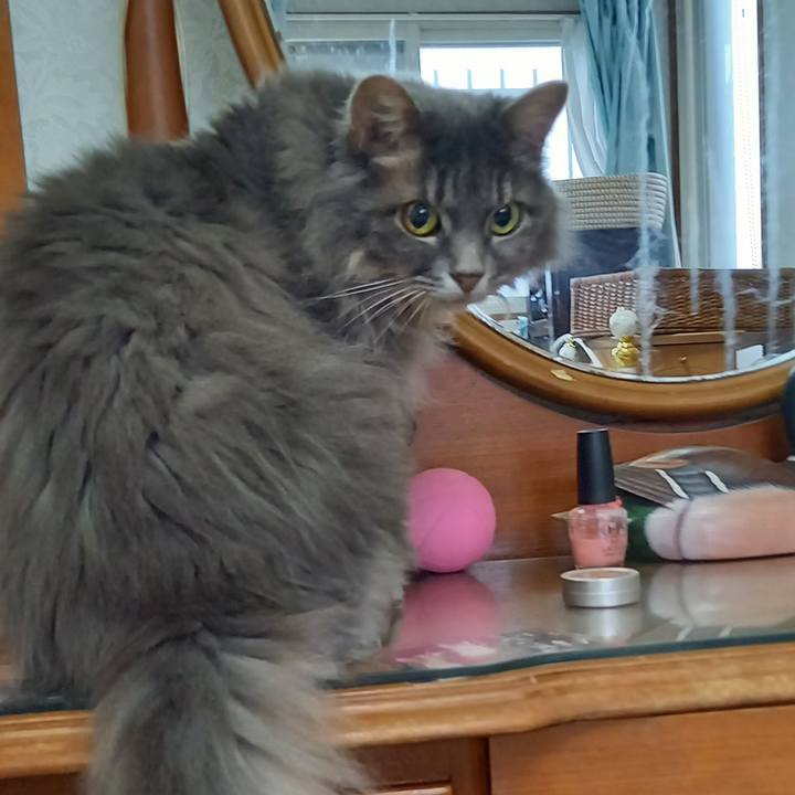 320d2283 2d85 4e20 90ee 83acd0735585 1630105405937