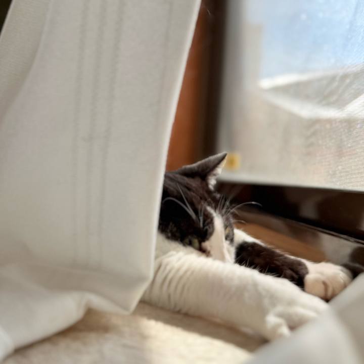 320d32da 4ea9 4546 9882 eea868150e83 1747533740477