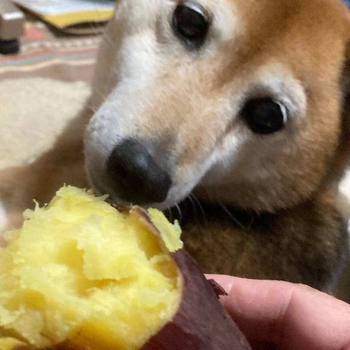 320d3fad 82be 4494 a46e 8830127c829b 1644751232929