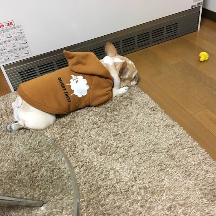 320d7284 d455 4648 bca7 ab7ef93051ce 1513157133911