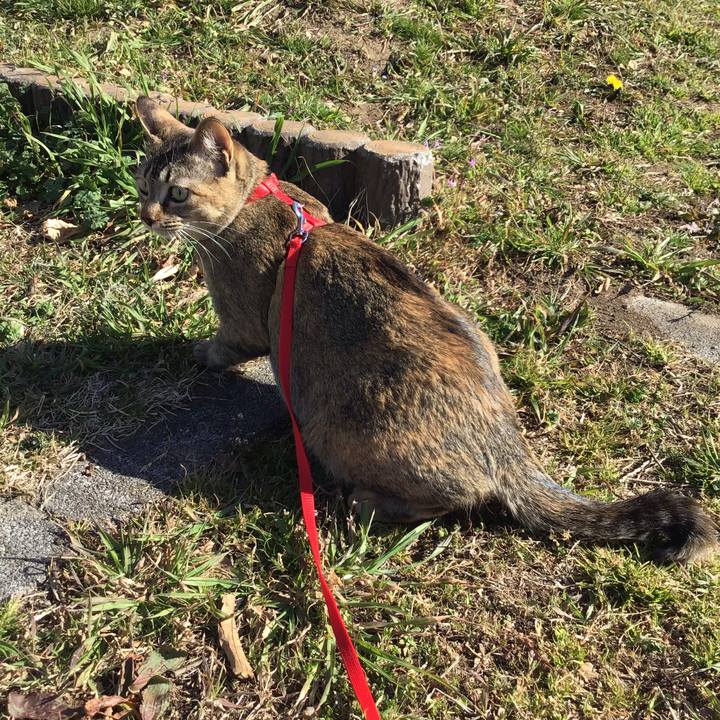 320db30f fb0b 42bb 9227 5e0a1a72bb45 1583478046766