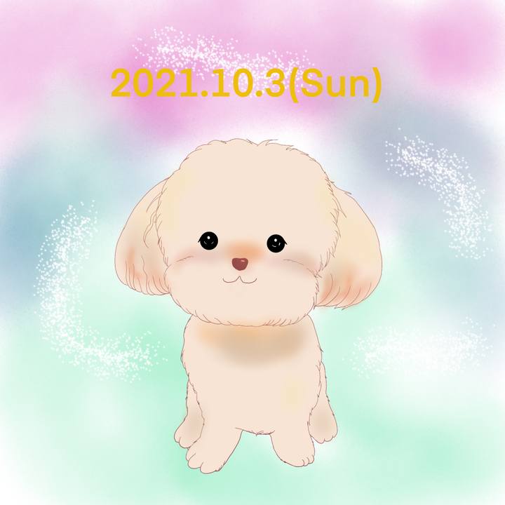 320e1752 a74c 49d2 add6 daa92b1004d8 1633265646100