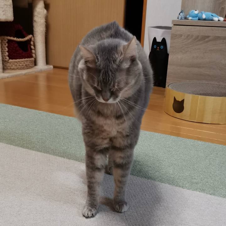 320e187f 4cf9 4ec3 b62c 1dafe9770270 1611237502112