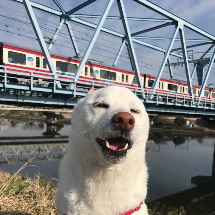 320e1c4d e698 4c81 bc07 a6c95393a8a0 1521071295445