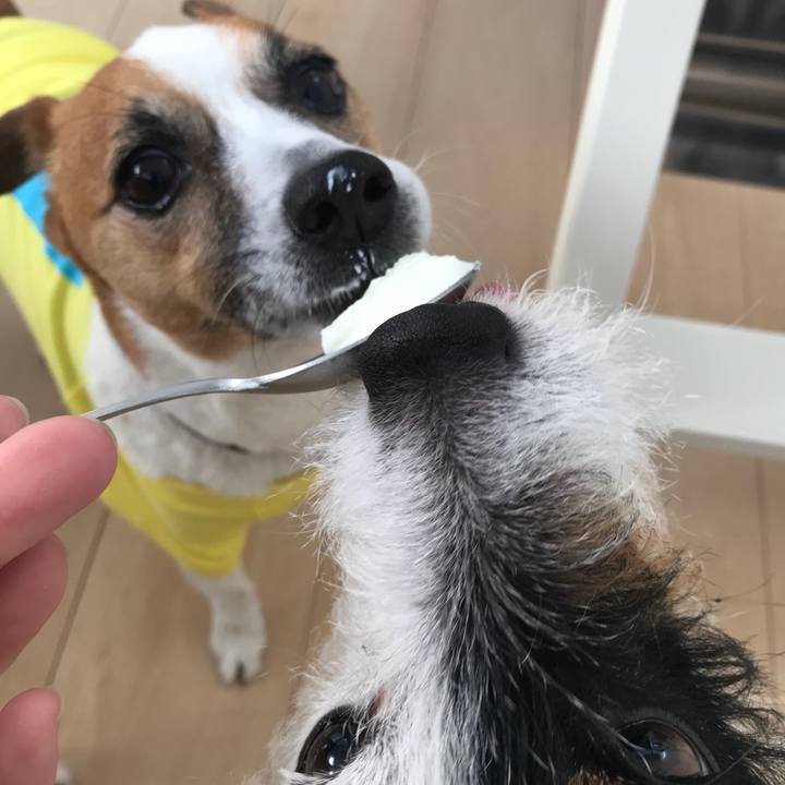 320e2501 93d1 47c0 a6ee 94afb8f16cac 1522191243807