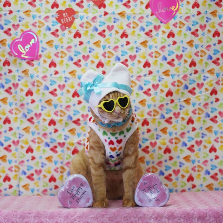 320e448e ff4f 4fde a57d c67911e47ec9 1739519661065