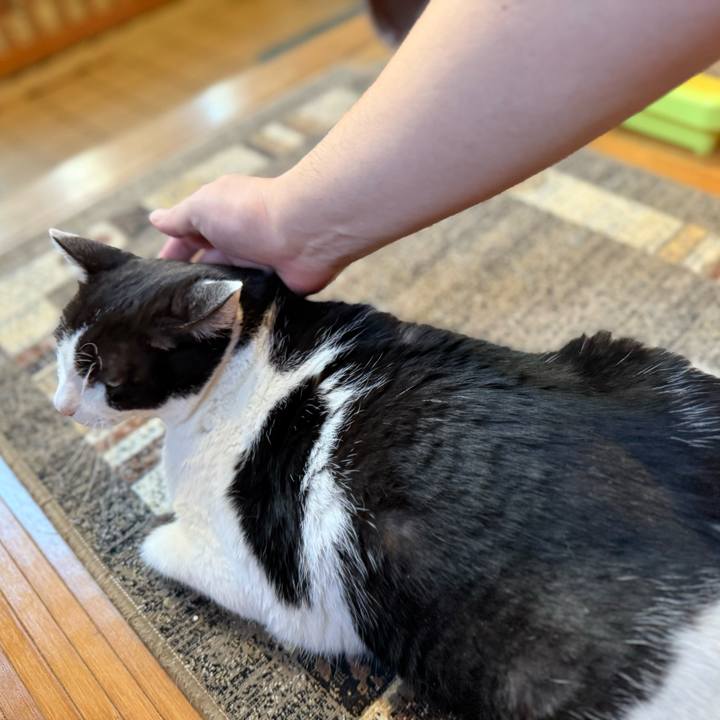 320e5c22 879e 4a57 8bce d0a977e5dfe5 1730338010732