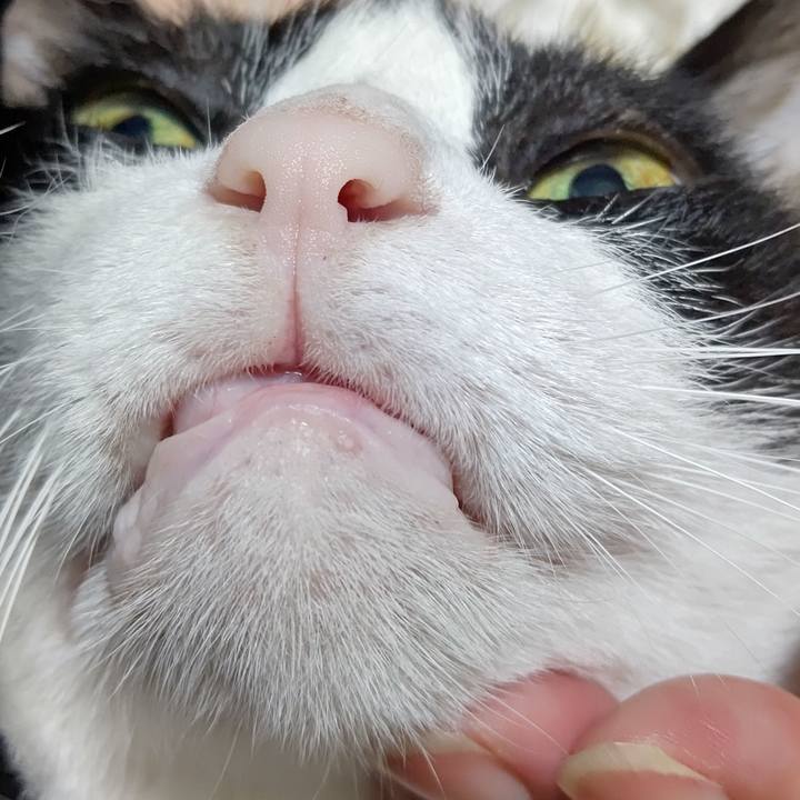 320e6214 65fa 473e 8721 5993b47ff092 1596877898266