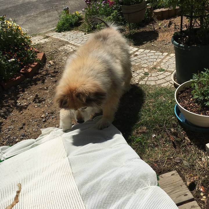 320e666c 64fc 4c15 8345 150d8818e6d6 1562834856606