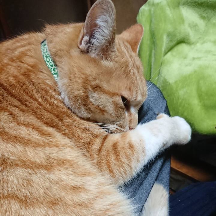 320e7d4c 8817 4440 bddb ad833f9243be 1584350606278