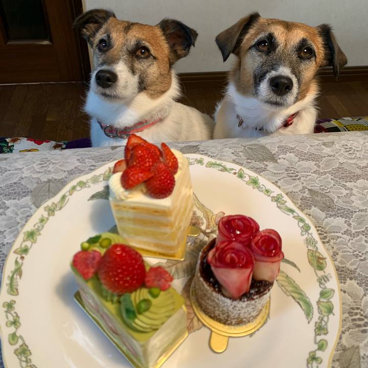 320ea7b0 5fcf 4b25 a613 93b4c431d1f9 1644113410252