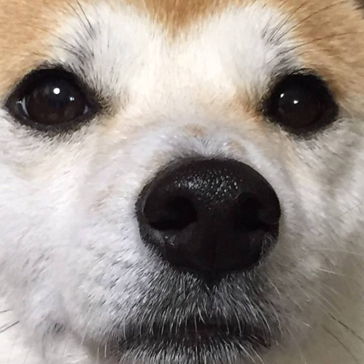 320ea7c9 d9c6 4100 bc3a d88648e59e22 1523595226099