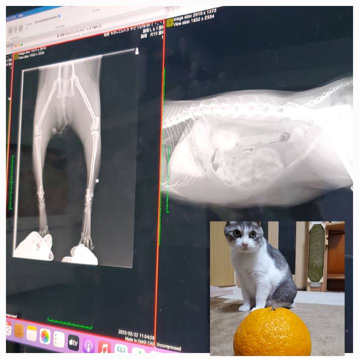 320eb0c0 28f0 42f6 afb7 17fe222a91b2 1744275963042