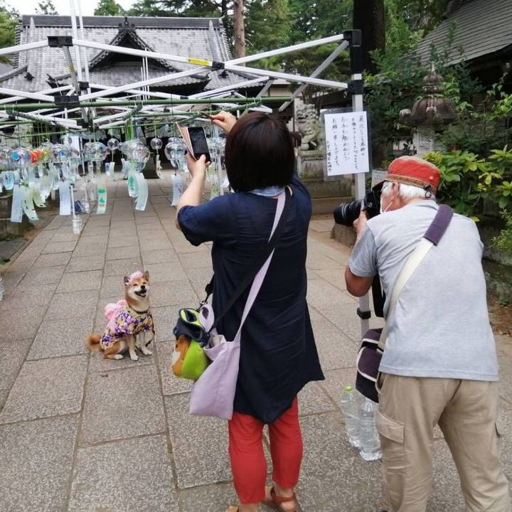 320ebba0 5d17 40cc 803f be1edd5f474f 1596849112829