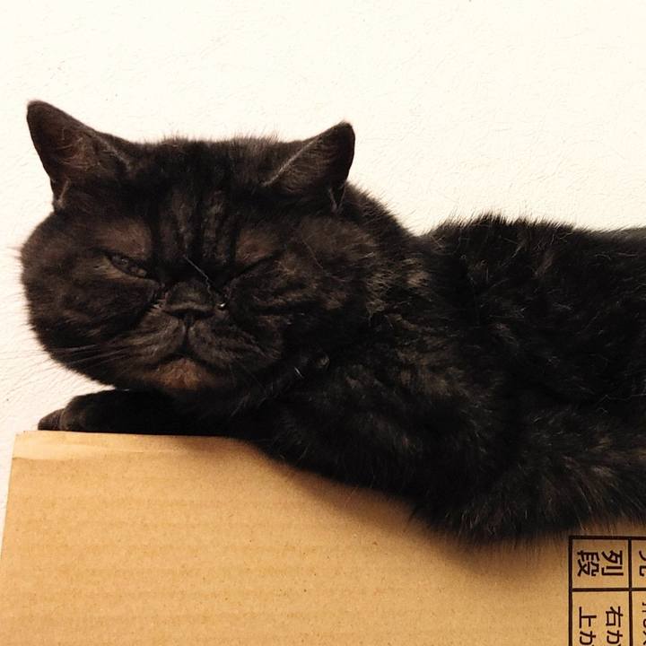 320ebccd fbdc 4610 9fc9 aee92f76e1a8 1625831242411