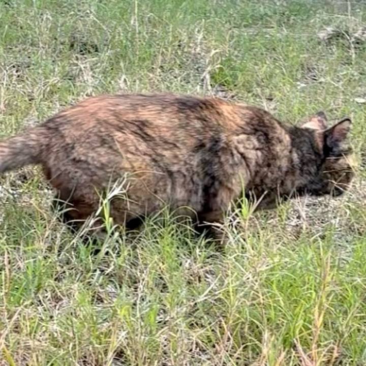 320ed5c2 89b7 402c 917a 77d5b71495b7 1764141942451